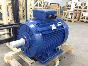 Động cơ Chân Đế ELEKTRIM EM200LB-2
